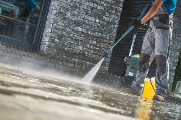 Best Animal Enclosure Cleaning  in Fort Belvoir, VA